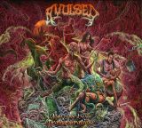 04 avulsed