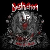 08 destruction