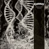 10 coroner