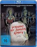 08 verdammt diezombies